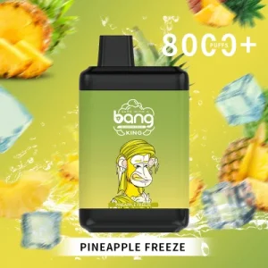 Bang King 8000 Puffs 0% 2% 3% 5% Nicotine Disposable Vape Rechargeable Wholesale-euvapeshops