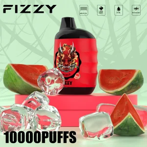 Fizzy Great 10000 Puffs Disposable Vape-euvapeshops
