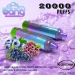 Bang-Blaze-20000-Puffs Disposable Vape-euvapeshops