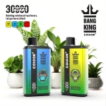 Bang-30000-Puffs Disposable Vape-euvapeshops