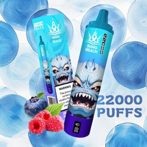 Bang-Beach-22000-Puffs Disposable Vape-euvapeshops