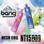 Bang Shisha 15000 Puffs Disposable Vape-euvapeshops