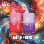 Bang BC5000 Puffs Disposable Vape-euvapeshops